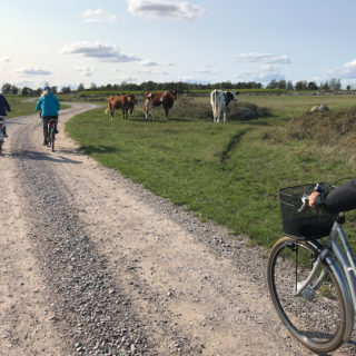 cykla i världsarvet