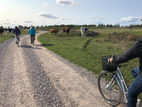 cykla i världsarvet