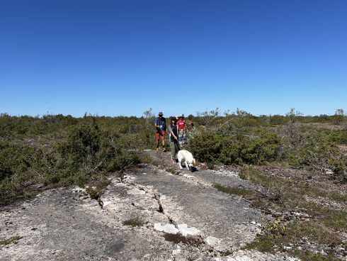 Eva Karst på alvaret